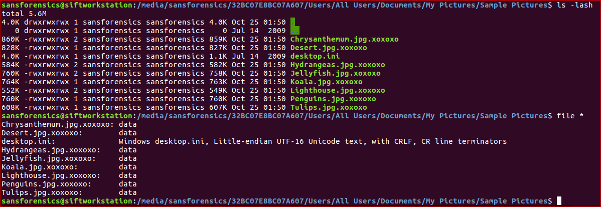 encryptedfiles